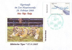 RPV: MiNr. 2, "Tigertaufe im Zoo Hoyerswerda, 28.02.2008", Sonderbeleg, Sonderstempel (1)
