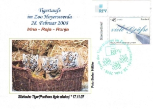 RPV: MiNr. 2, "Tigertaufe im Zoo Hoyerswerda, 28.02.2008", Sonderbeleg, Sonderstempel (4)