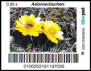 Biberpost: 00.03.2012, "Blumen: Adonisröschen", Satz, Typ VI, postfrisch