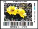 Biberpost: 00.03.2012, "Blumen:...